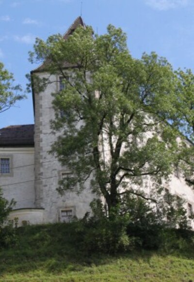 Hohes Schloss Bad Grönenbach