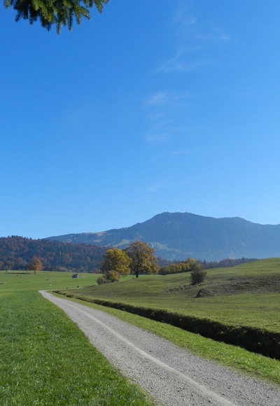 Grünten Wächter des Allgäus