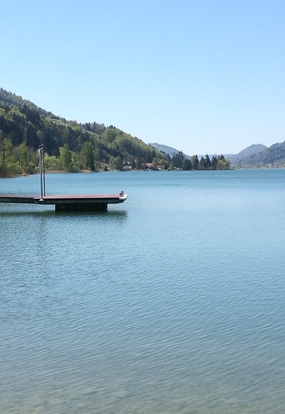 Der Alpsee