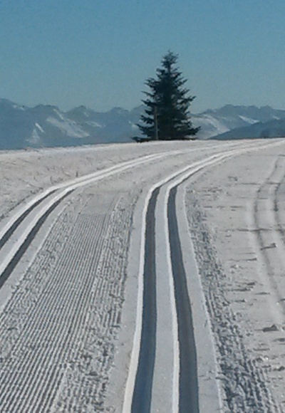 Herrliche Ausblicke auf der Loipe zwischen Ermengerst und Wagenbühl