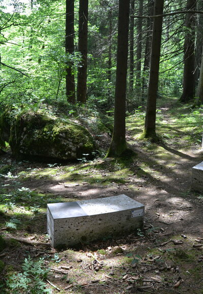 Fliehburg Durach