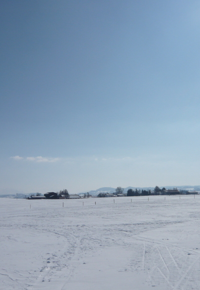Winterlandschaft an der Loipe Reicholzried (2)