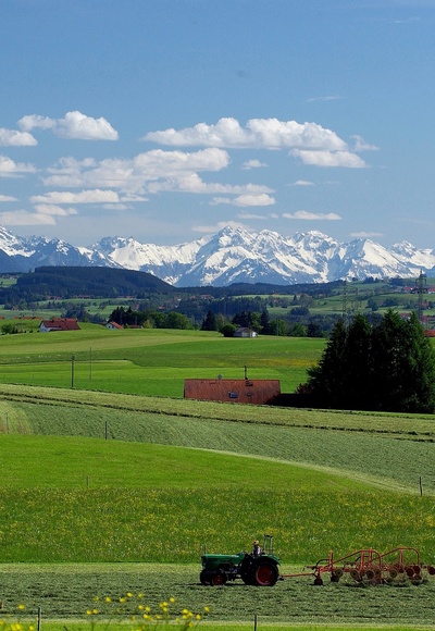 Bergblick bei Reicholzried