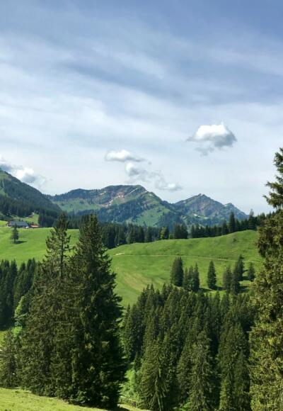 Blick zur Nagelfluhkette
