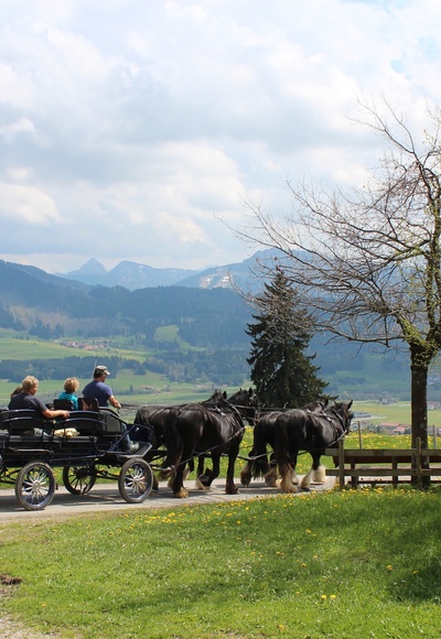 Kutschfahrt durch die Wertacher Landschaft