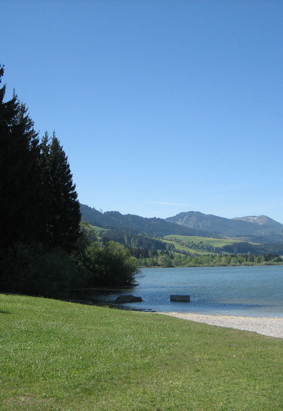 Grüntensee-Ufer mit Aussicht