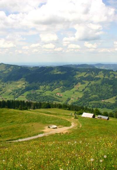 Ums Immenstädter Horn