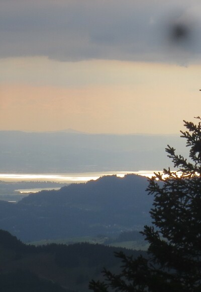 Blick auf den Bodensee