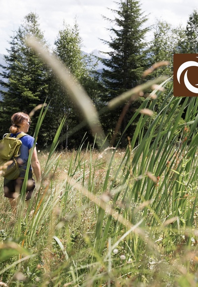 Wandern Hochmoor Hörnlepass - Walser Omgang