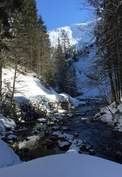 Schatten-Sonnen-Spiele am Schwarzwasserbach