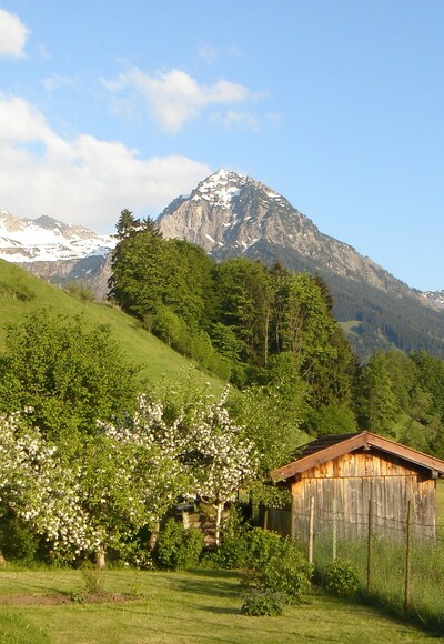 Rückweg über Fischen-Au