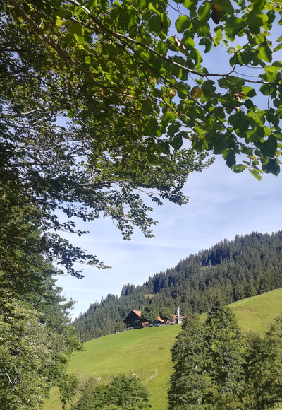 Blick auf den Alpen-Gasthof Gaisalpe