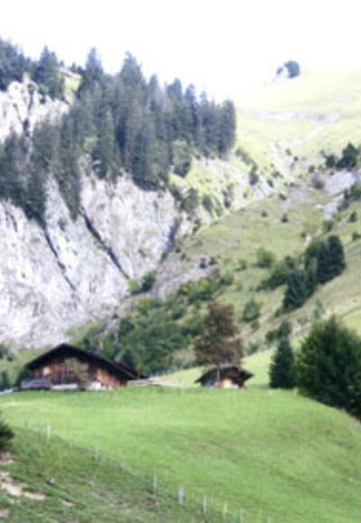 Traufbergalpe, Oberstdorf