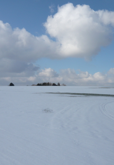 An der Loipenkreuzung "Loipe Kempter Wald" / "Verbindungsloipe Kempter Wald - Moosloipe"