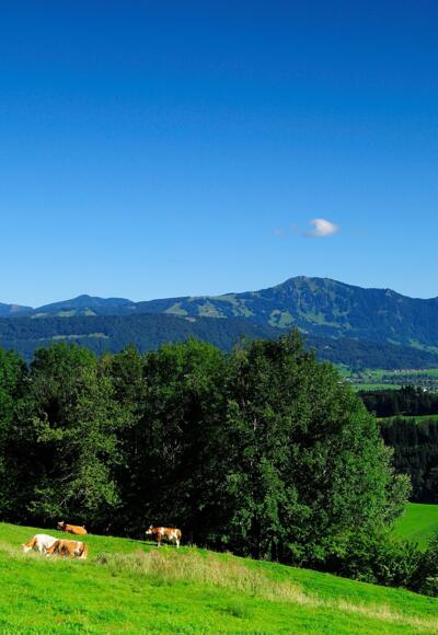 Ausblick vom Stoffelberg