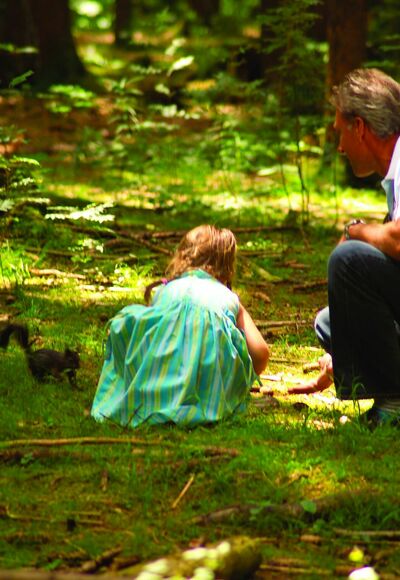 Im Eichhörnchen-Wald