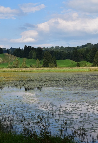 Widdumer Weiher