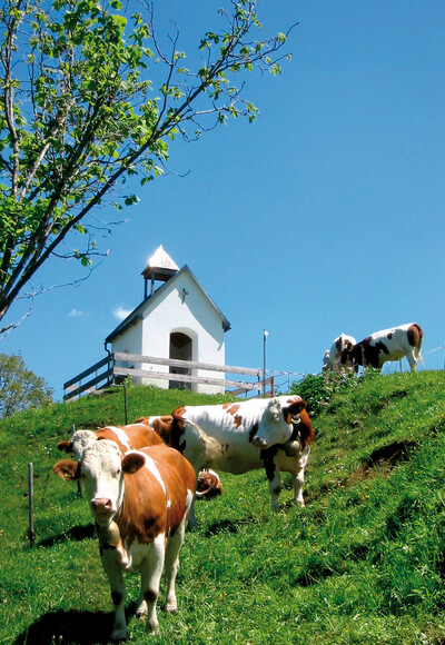 Die "Wächter" der Kapelle.