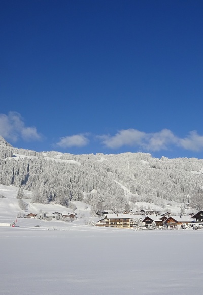 Bolsterlang