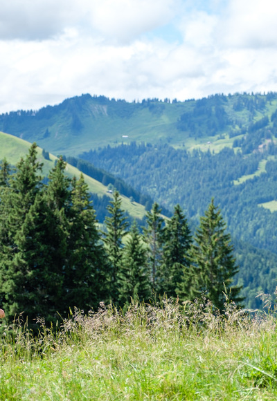 Blick zum Feuerstätter