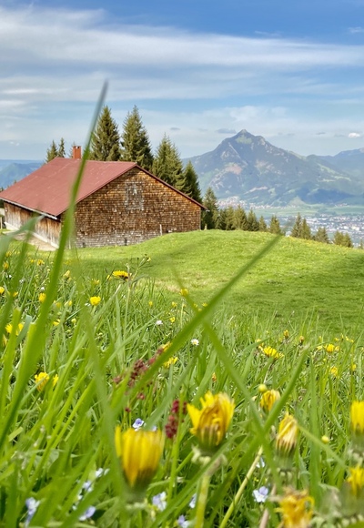 Rundweg Ofterschwanger Horn mit Blick zum Grünten