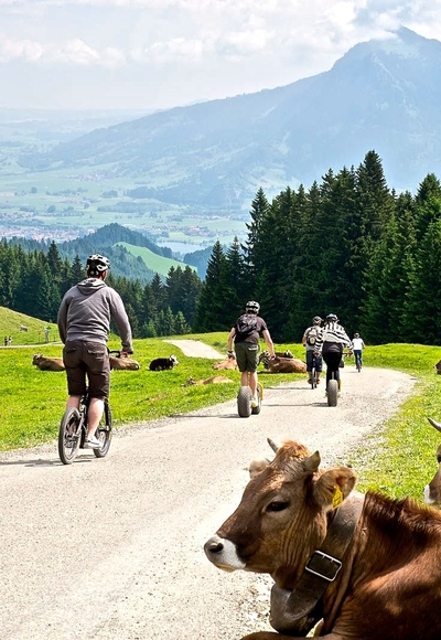 Rasante Fahrt ins Tal mit dem Downholl Roller