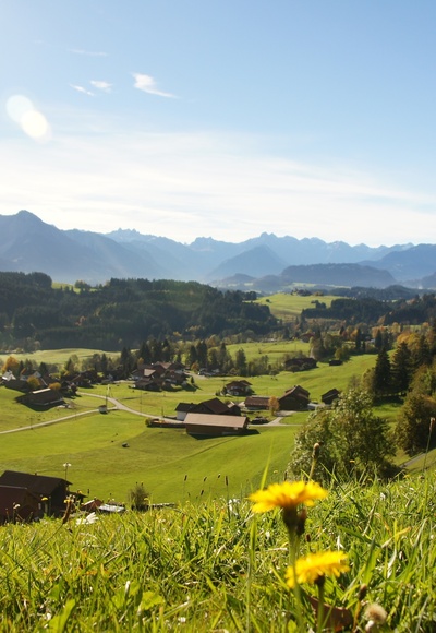 Aussicht vom Hüttenberber Eck auf den Allgäuer Hauptkamm