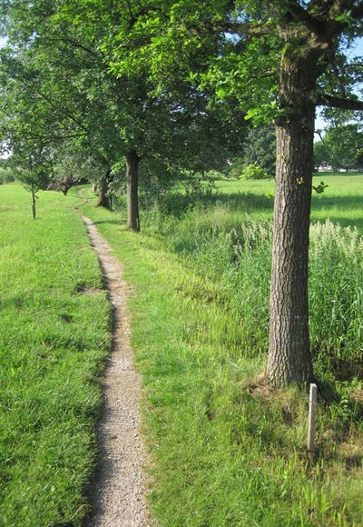 Naturlehrpfad am Schwarzbachmoos