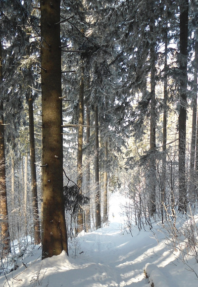 Schneeschuhtour