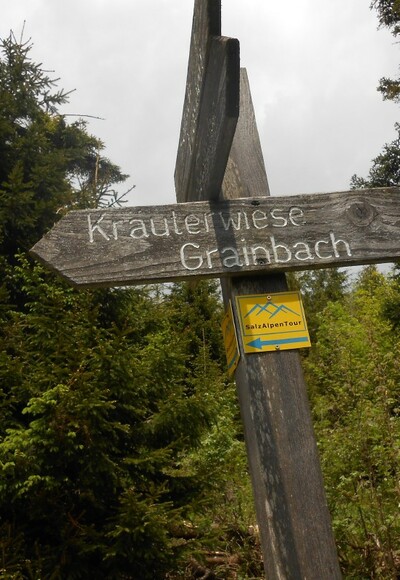 Wegweiser Kräuterwiese