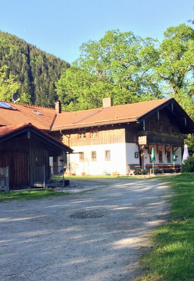 Schlipfgrubalm