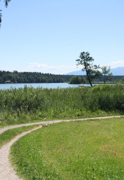 Hartsee