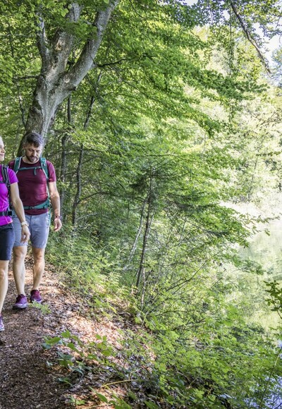 Wandern am Langbürgner See