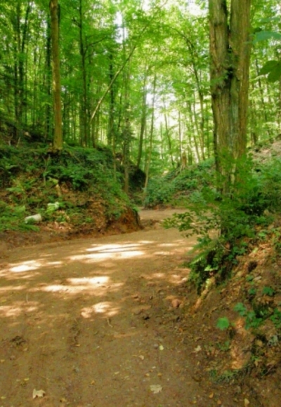Hohberggraben Erlenbach
