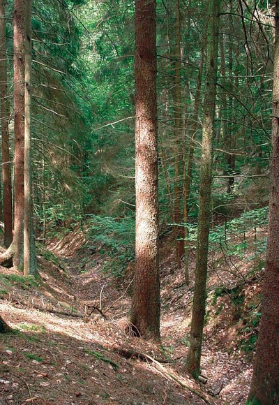 Auf dem Weg durch den Totengraben