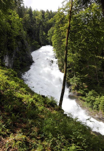 Winnerfall