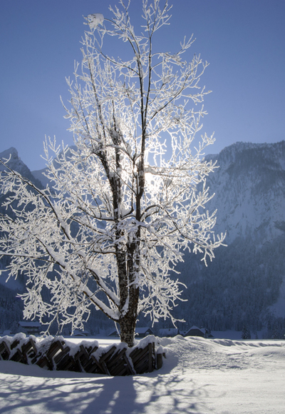 Winterliche Au