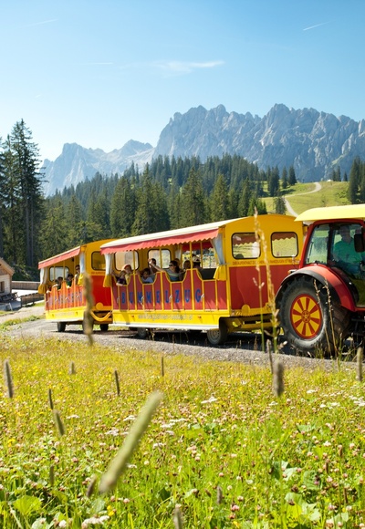 Zwieselalm