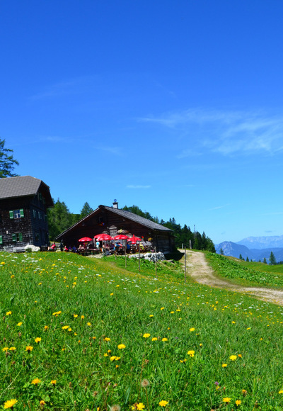 Zwieselalmhütte
