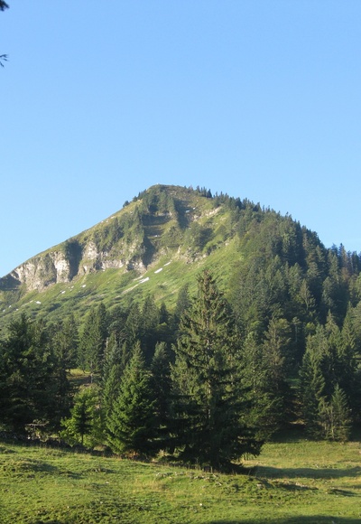 Königsberghorn
