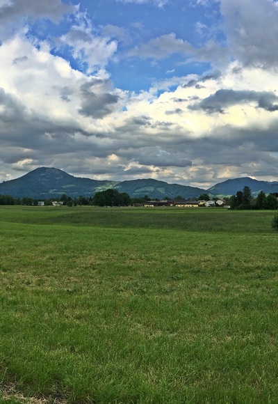 Panoramabild