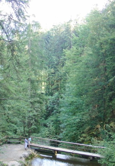 Staubecken oberhalb des Wasserfalls