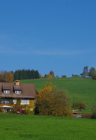 Am Salzburger Mariazellerweg (bei Ybbsitz)