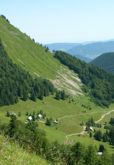 Blick von der Loibersbacher Höhe auf den Faistenauer Schafberg