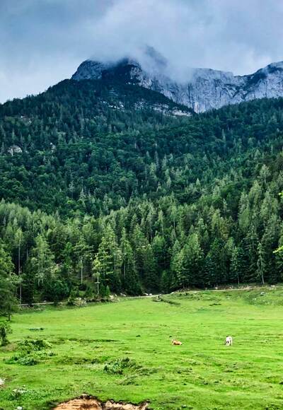 Eisenaualm mit Schafberg