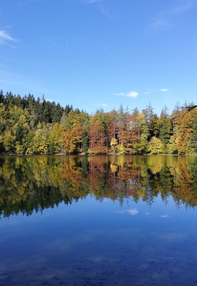 Der Eibensee im Herbst
