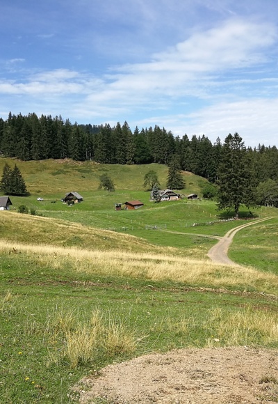 Mittereggalm