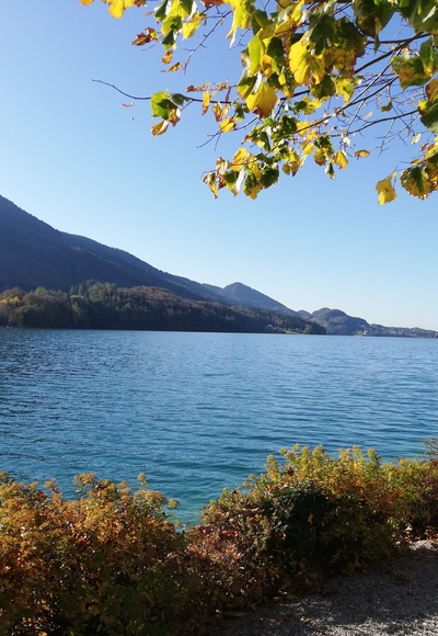 Fuschl am See