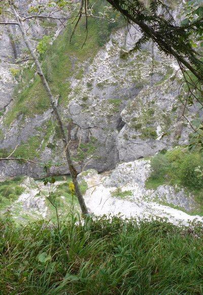 Metzgersteig