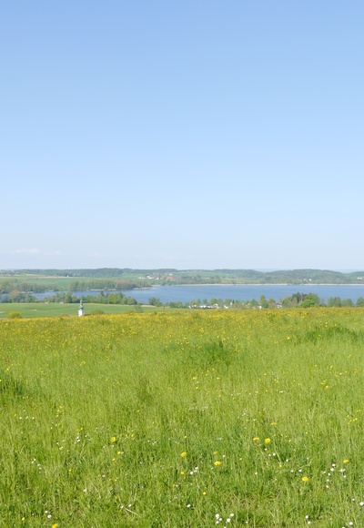 Ausblick vom Mühlberg auf den Waginger See